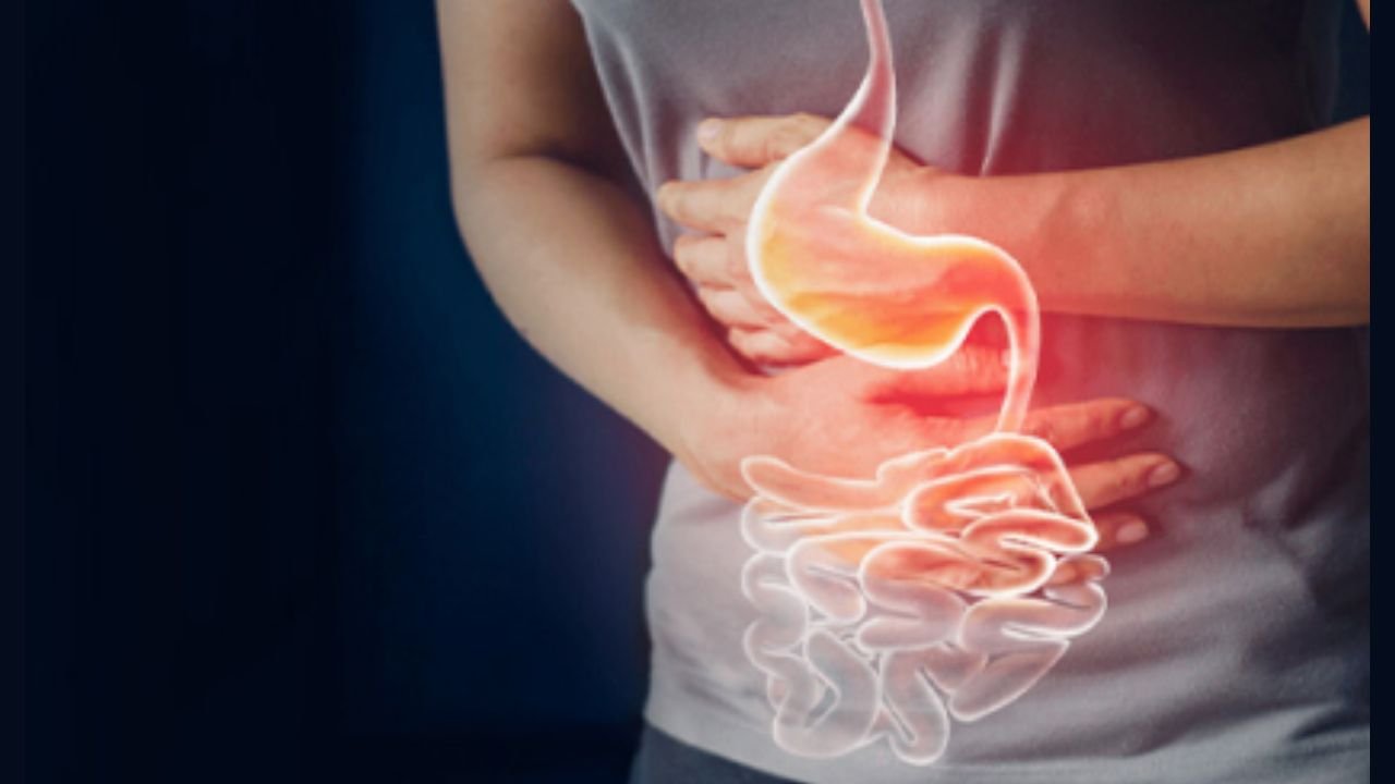 worm in gut
