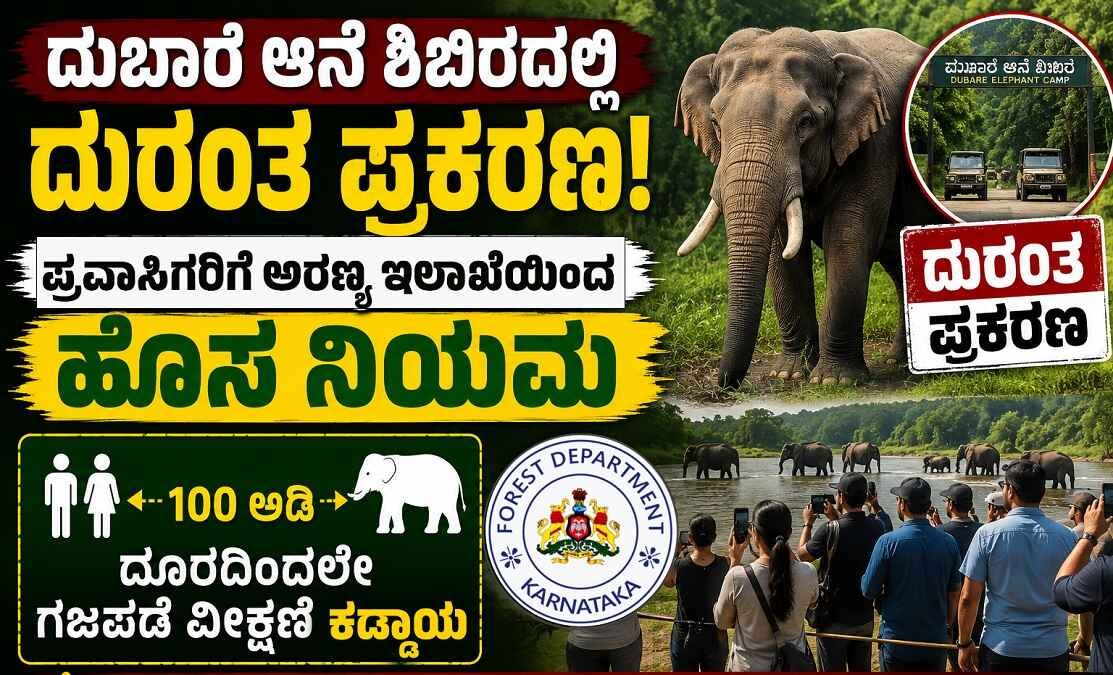DubareElephantCamp