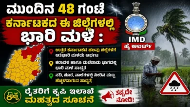 ಮುಂದಿನ 48 ಗಂಟೆ ಕರ್ನಾಟಕದ ಈ ಜಿಲ್ಲೆಗಳಲ್ಲಿ ಭಾರಿ ಮಳೆ : IMD ಹೈ ಅಲರ್ಟ್, ರೈತರಿಗೆ ಕೃಷಿ ಇಲಾಖೆ ಮಹತ್ವದ ಸೂಚನೆ