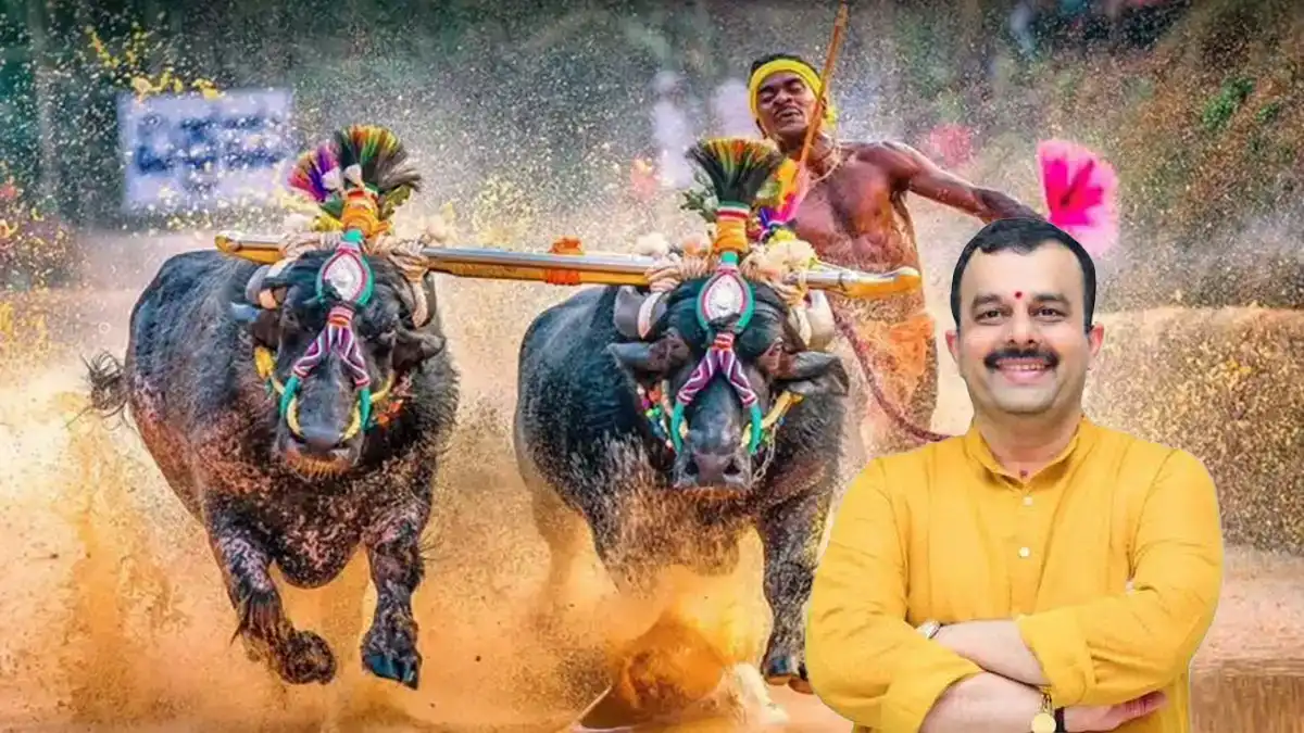 ಮೈಸೂರು ದಸರಾ ಕಂಬಳಕ್ಕೆ 8 ಕೋಟಿ ಕೊಟ್ರೆ, ಕರಾವಳಿಯ ಕಂಬಳಕ್ಕೆ 25 ಲಕ್ಷ ರೂಪಾಯಿ ಕೊಡಿ : ಸುನಿಲ್ ಕುಮಾರ್