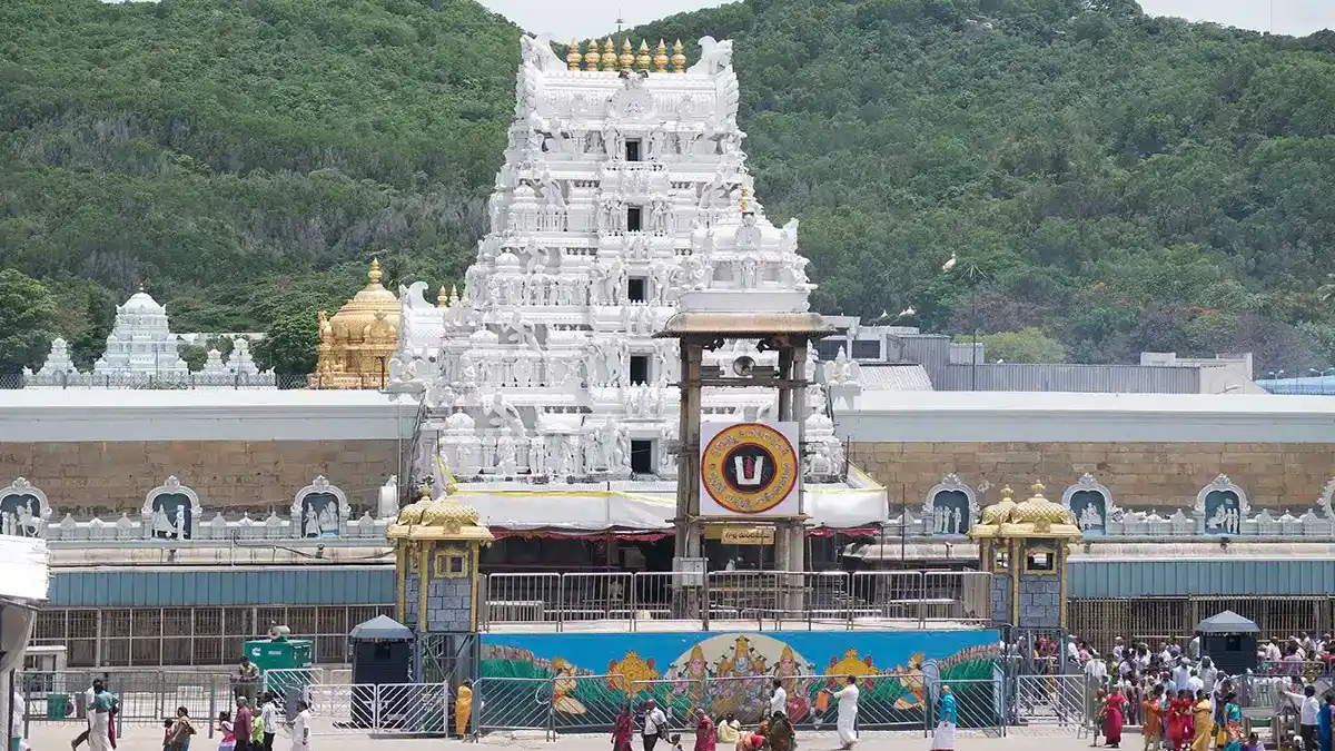 ತಿರುಪತಿ ತಿಮ್ಮಪ್ಪನಿಗೆ ಹಿರಿದು ಬಂದ ಹಣದ ಹೊಳೆ: ಹೊಸ ದೇಣಿಗೆ ನೀತಿಯಿಂದ ಒಂದೇ ದಿನ 97 ಕೋಟಿ ಆದಾಯ